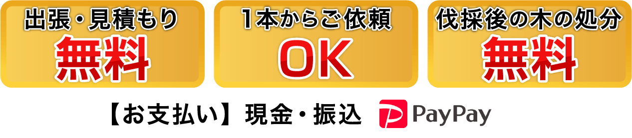 出張・見積もり無料　１本からご依頼OK　伐採後の木の処分無料　【お支払い】現金・振込・PayPay