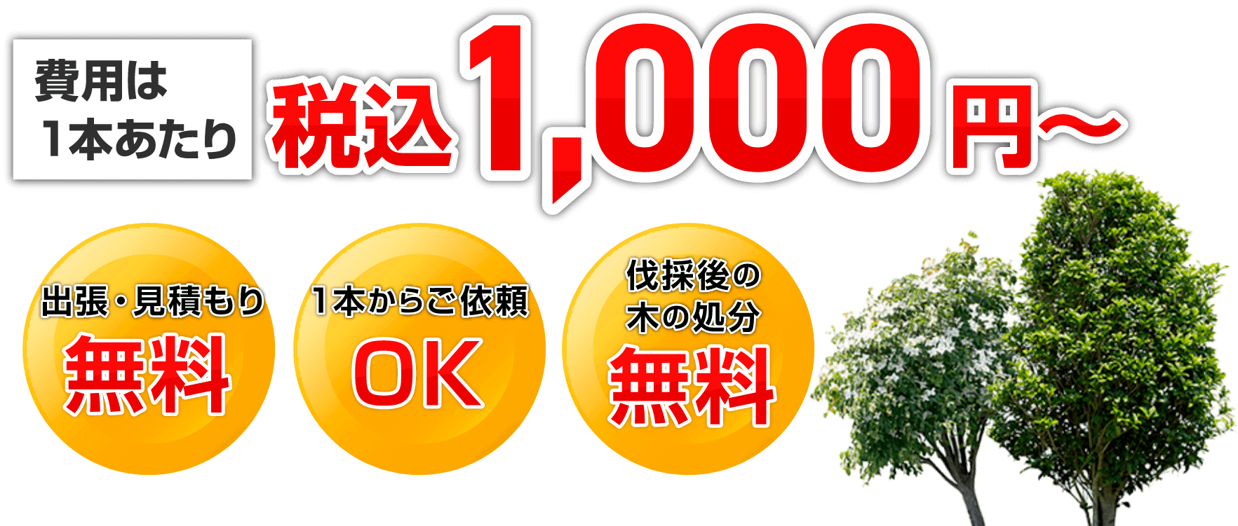 費用は１本あたり税込1,000円～「出張・見積もり無料」「１本からご依頼OK」「伐採後の木の処分無料」