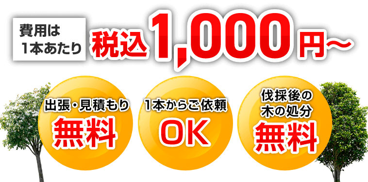 費用は１本あたり税込1,000円～「出張・見積もり無料」「１本からご依頼OK」「伐採後の木の処分無料」