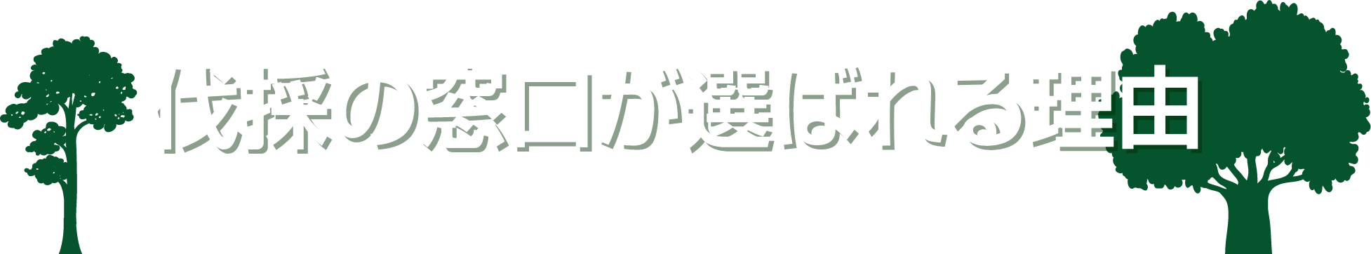 伐採の窓口が選ばれる理由