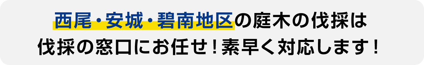 ⻄尾・安城・碧南地区の庭木の伐採は伐採の窓口にお任せ!素早く対応します!