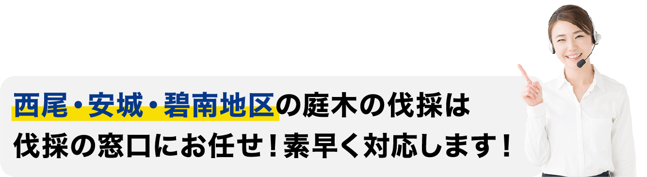 ⻄尾・安城・碧南地区の庭木の伐採は伐採の窓口にお任せ!素早く対応します!