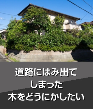 道路にはみ出てしまった木をどうにかしたい