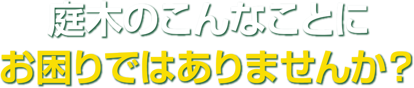 庭木のこんなことにお困りではありませんか?